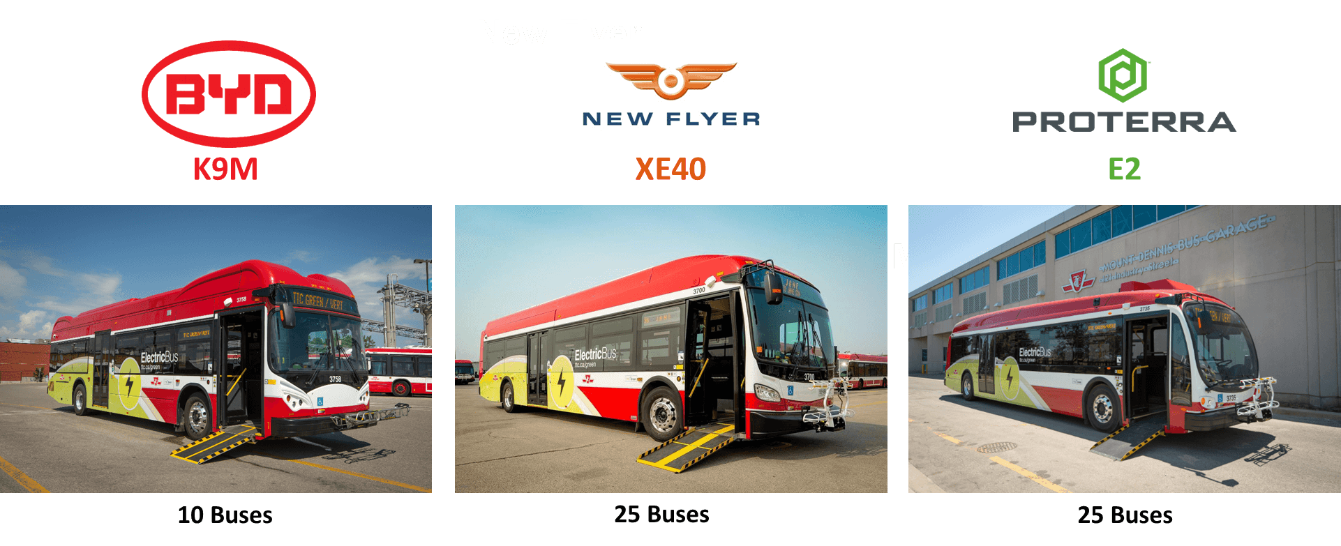 Toronto Transit Commission Electric Buses